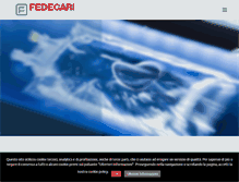 Tablet Screenshot of fedegari.com